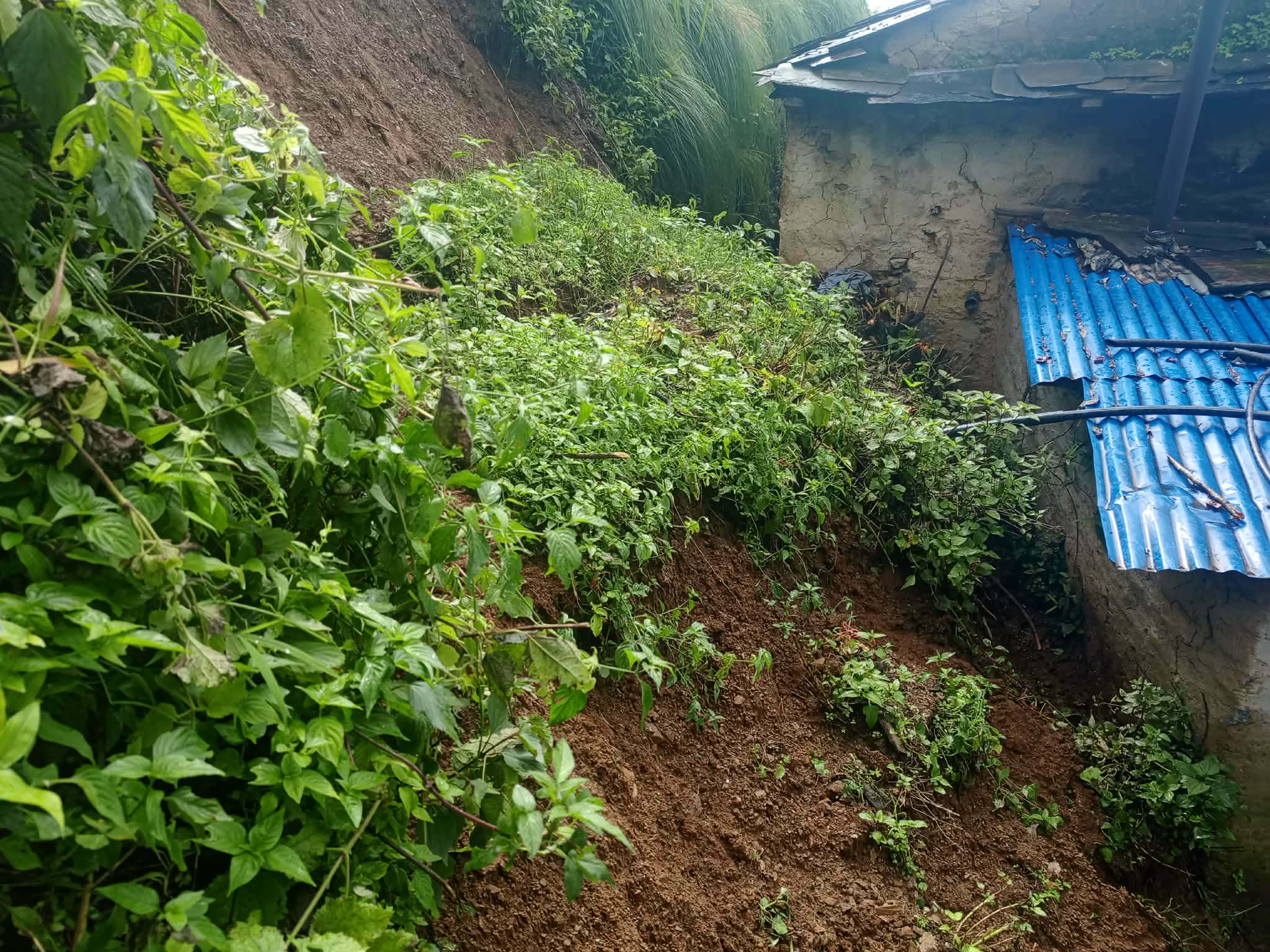 बसालामा दर्जन बढी घर पहिरोको उच्च जोखिममा, जोखिमकै घरमा बस्न बाध्य स्थानीय
