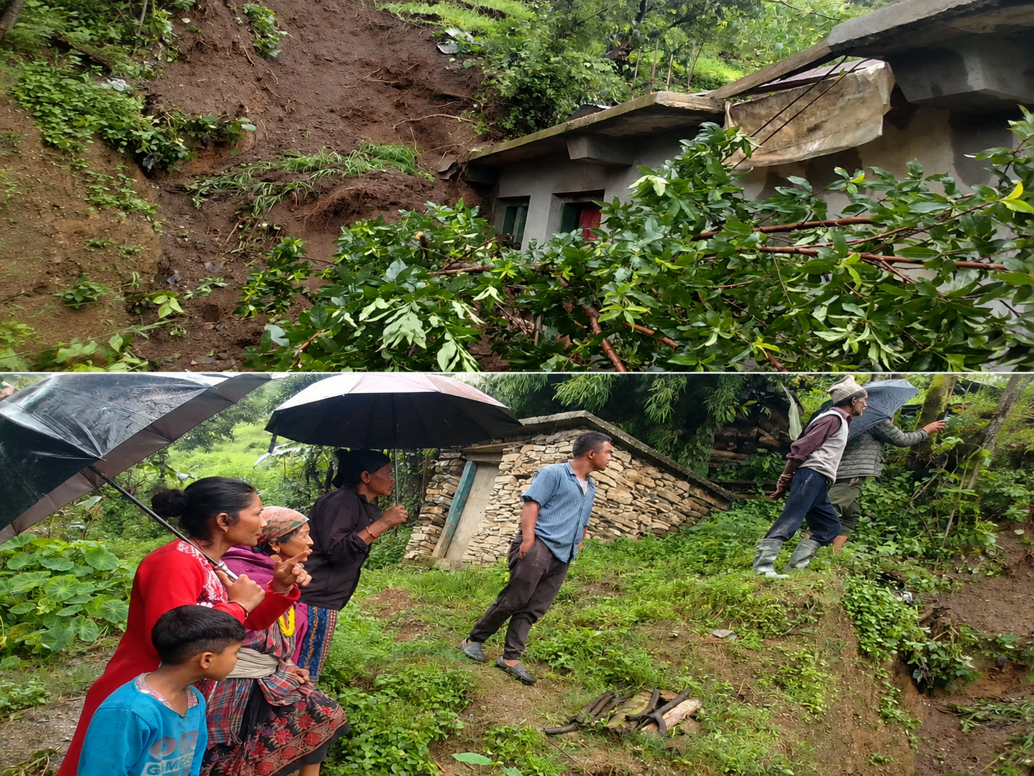 विपद्को जोखिममा गौमुल-४ : बस्ती-बस्ती पुगेर नागरिकको अवस्था बुझ्दै वडा सरकार