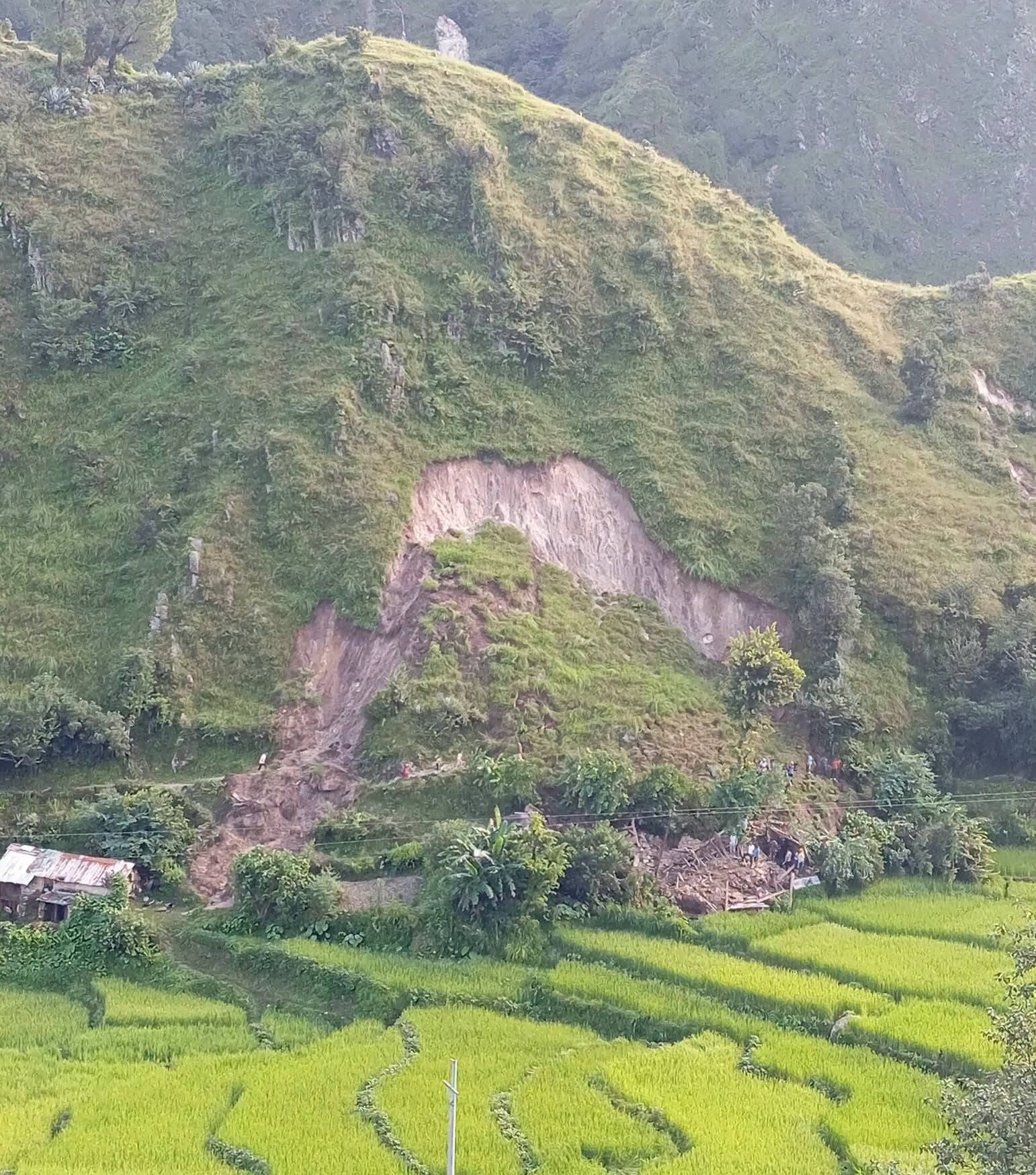 बडीमालिका-९ मा पहिरोको वितण्डा : आधा दर्जन घरमा क्षति, दुई गोरु पुरिएर मरे