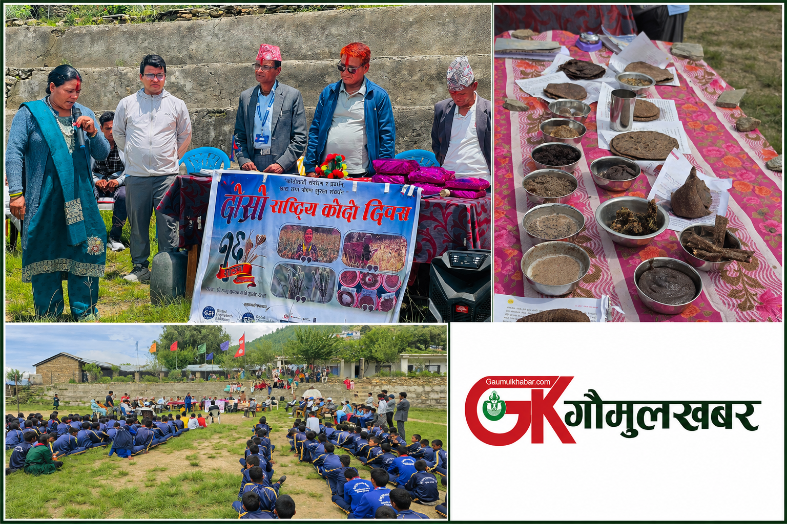 कोदोको स्वादसँगै संरक्षणको सन्देश : बाजुरामा मनाइयो दोस्रो राष्ट्रिय कोदो दिवस