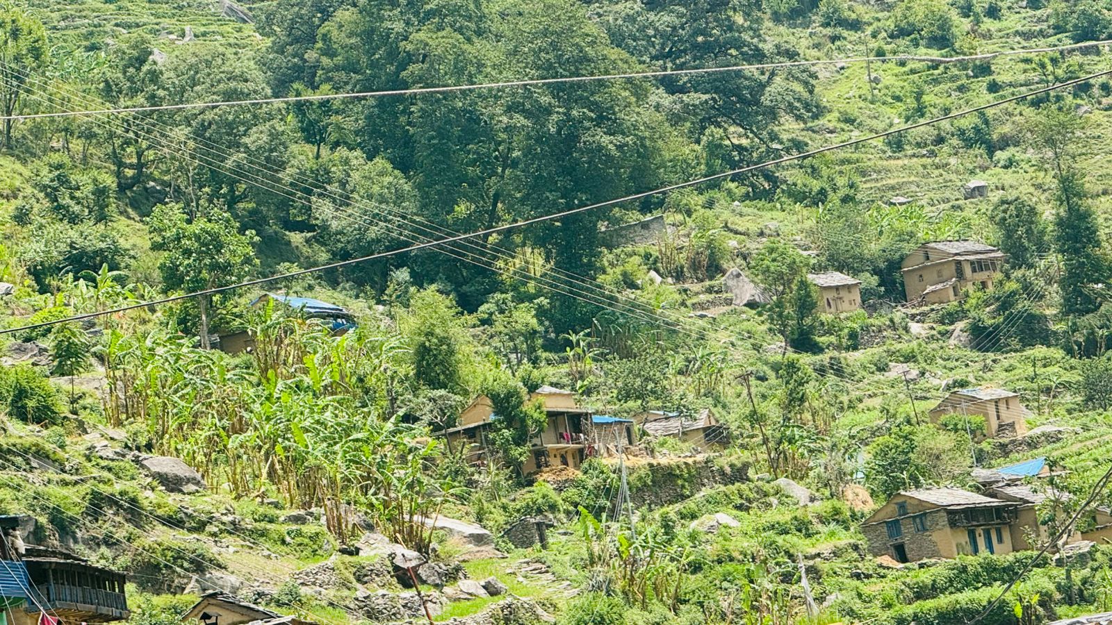 केरा विक्रीबाट बडीमालिका-६ कोर्ध गाउँमा वर्षेनी करोड बढीको आम्दानी