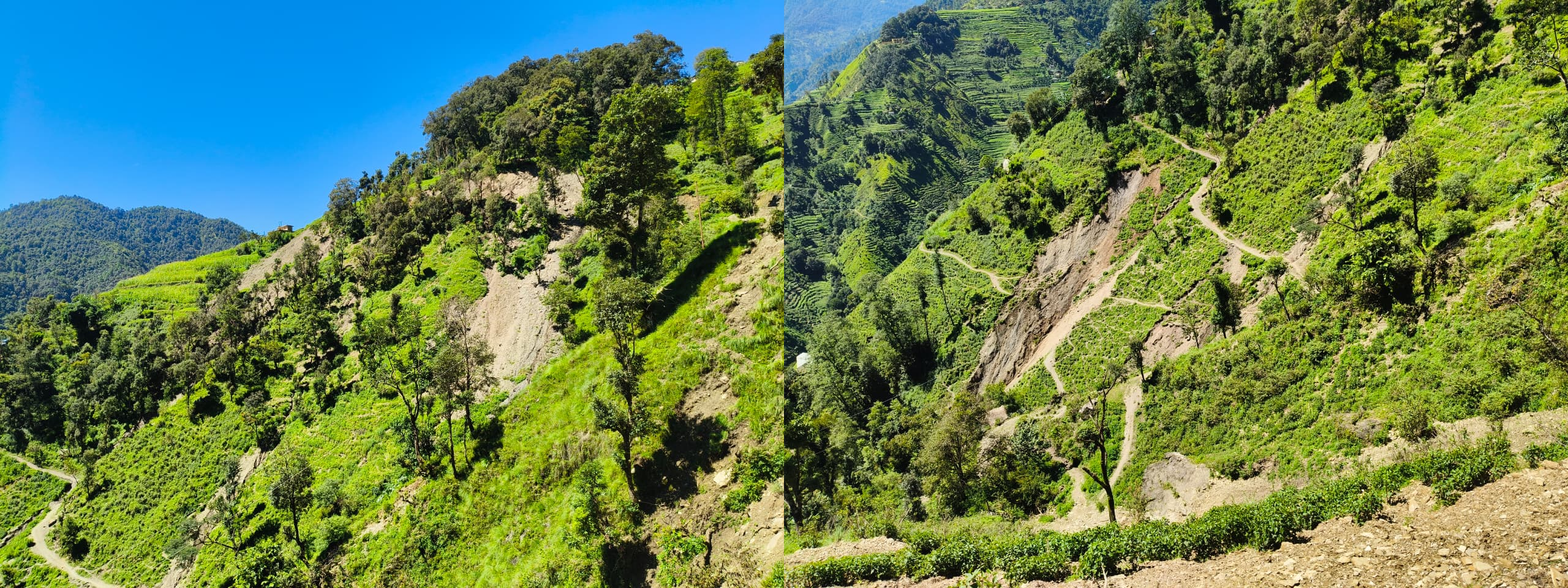 पहिरोको दोहोरो घेराबन्दीमा बाडी बस्ती : करिब २० घरपरिवार जोखिममा