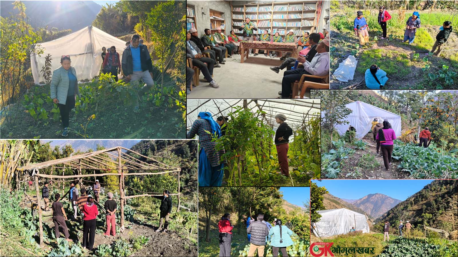 गौमुलमा शिक्षा र कृषिमा परिवर्तनको प्रयास, एच.आर.सी. र गाउँपालिकाको सहकार्य प्रभावकारी