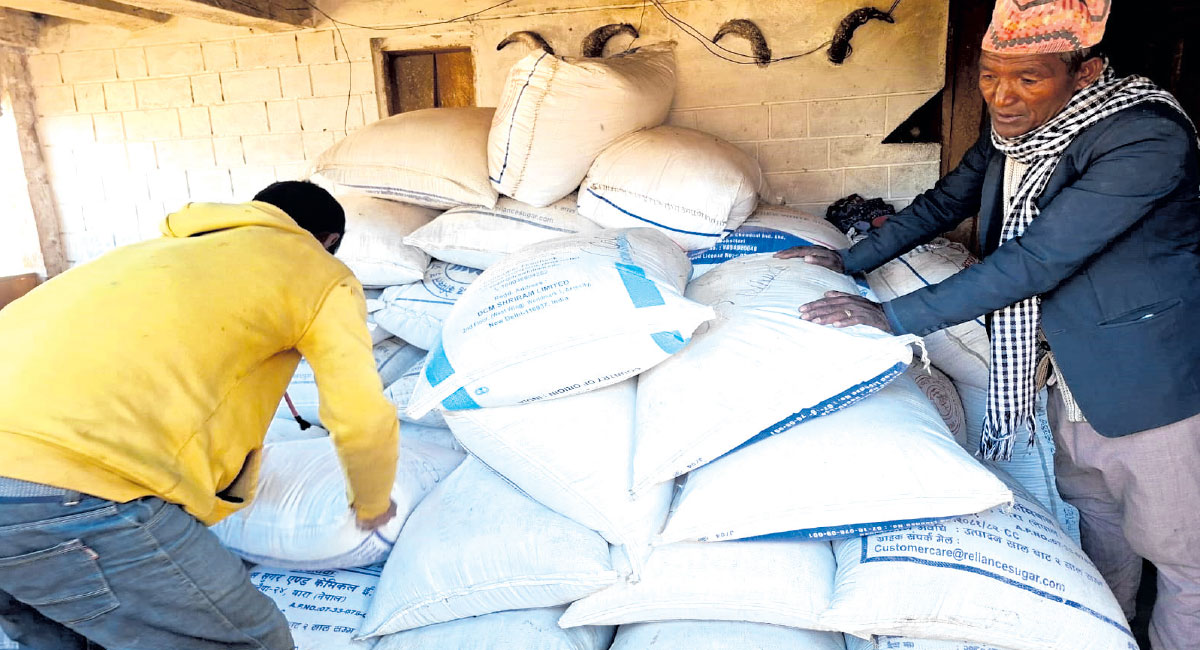 मुगुको सोरु गाउँपालिकाबाट ६५ टन रैथाने बाली निर्यात