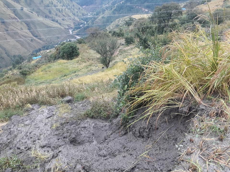 गौमुल गाउँपालिकाका विभिन्न बस्तीमा वर्षा र हावाहुरीका कारण अन्नपातमा क्षति