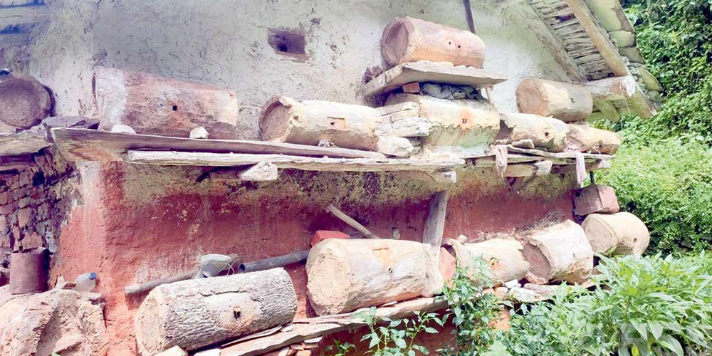 मौरीपालनबाटै वार्षिक तीन लाखसम्म आम्दानी गर्दै बैतडीका विष्ट